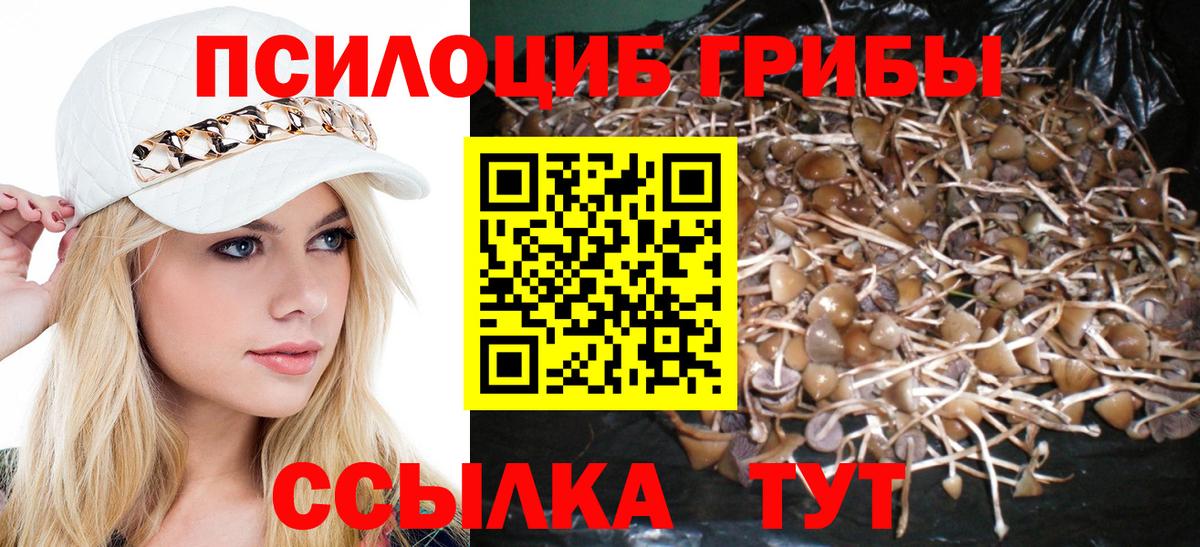 Псилоцибиновые грибы Psilocybe  Вход с VPN  Набережные Челны 